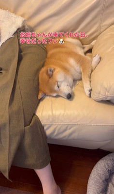 お姉ちゃん帰省時の小春ちゃん&小太郎くん4
