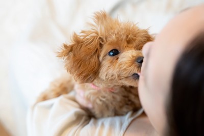 顔を舐めようとする犬