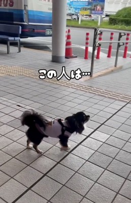 「お兄ちゃん…？？」