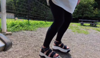 愛犬にカメラを付けてみたら