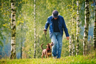 散歩をする犬と男性