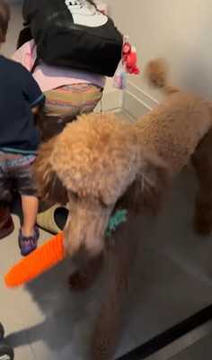 アンディくんの熱烈歓迎