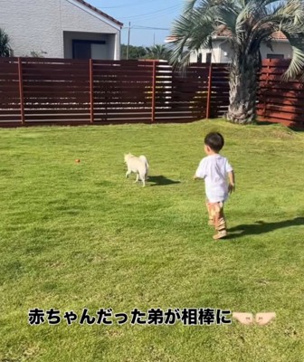 庭で一緒に走る赤ちゃんと犬