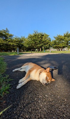 自然の温かさが一番だね♡