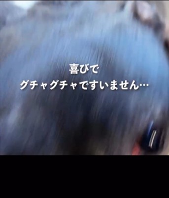 アップの犬