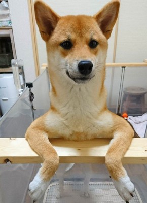 カウンター越しに圧！？