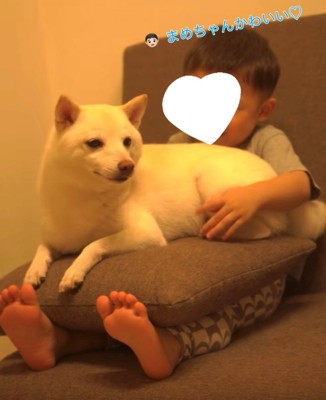ソファでくつろぐ赤ちゃんと犬