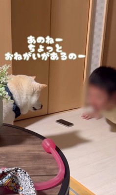 何かをお願いしに来たごん太くん2