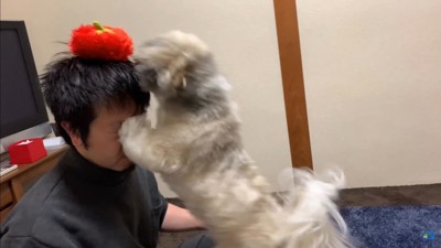 てんぽさんにおもちゃが届いたら6