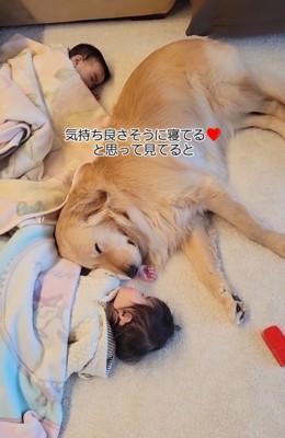 みんなでお昼寝