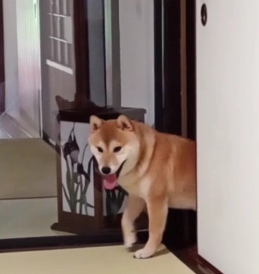 顔出しは完璧