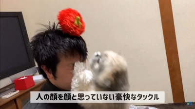 てんぽさんにおもちゃが届いたら7