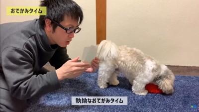 てんぽさんにおもちゃが届いたら⑩