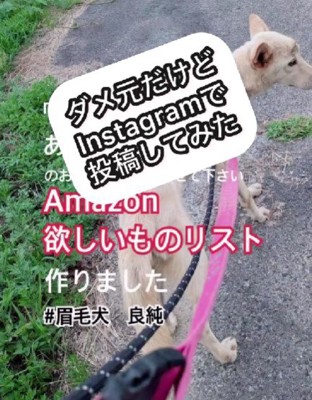 ＳＮＳでサポートを求めます