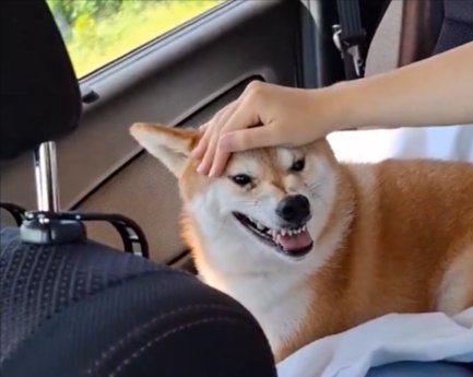 再び