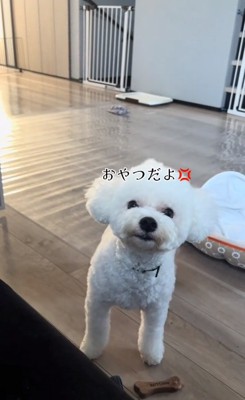 怒るポテトくん