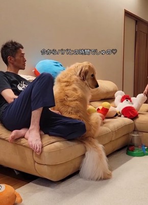 お父さんと触れ合う大型犬