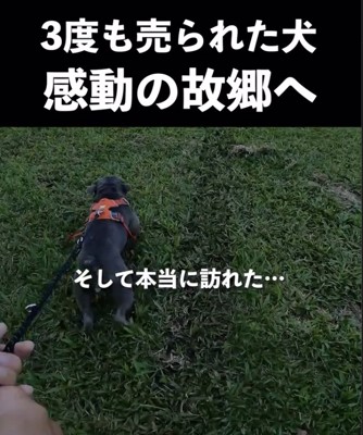 ついに…!!