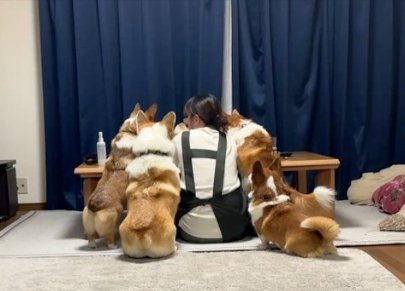 いつでも