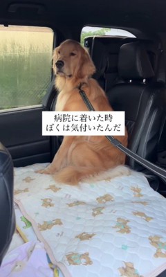 怖がりなぱっちくん