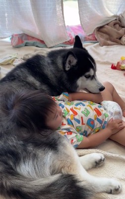 赤ちゃんとジジちゃん