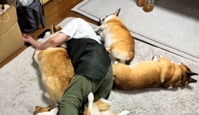 ママさん