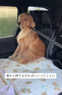 「そっちは行かない」