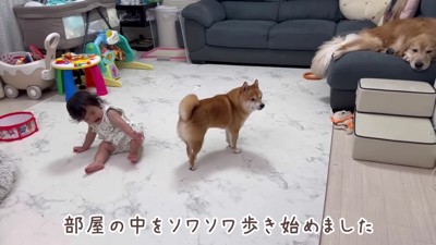 ソワソワするうにくん