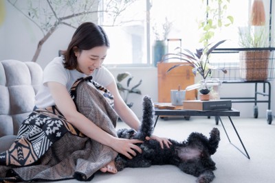 犬と戯れる女性