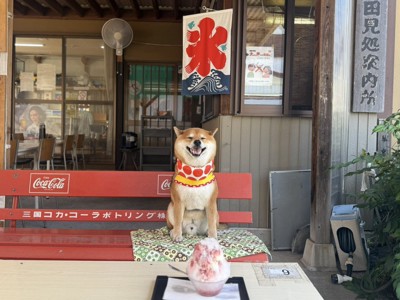 かき氷
