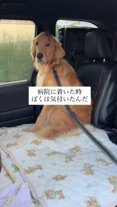 動物病院であることを確信