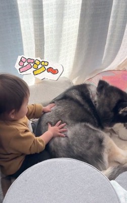 ジジちゃんの名前を呼ぶ赤ちゃん