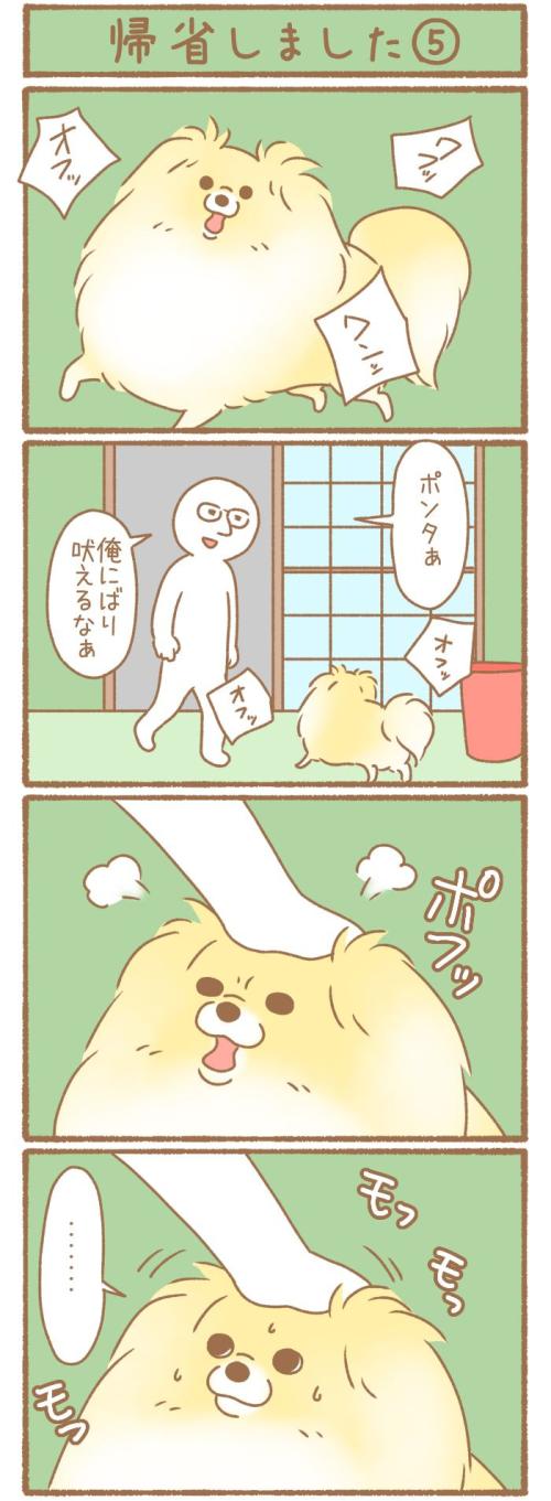 ただの犬好きです。【第330話】