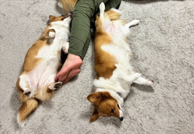 身体に