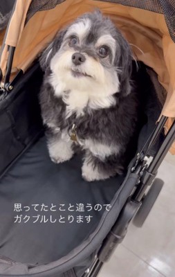 着いた瞬間ブルブル…