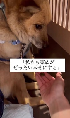 おふとん君の変化4