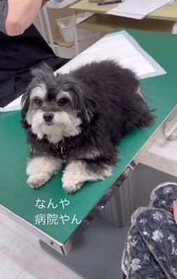 「病院やん…」