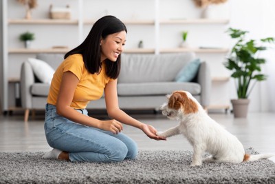 トレーニングしている犬と女性