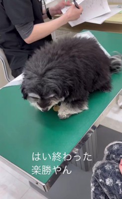 余裕をかまして検温終了