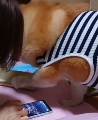周りを