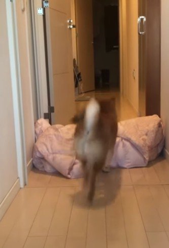 さっきまでいた人が消えた!