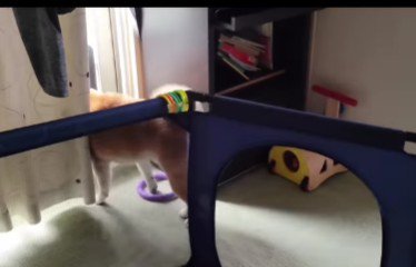 「外の警備忘れてたわ」