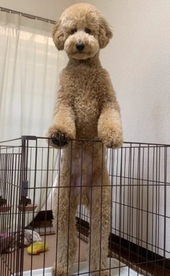 生後10か月のカムくん