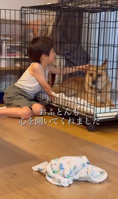 おふとん君の変化6