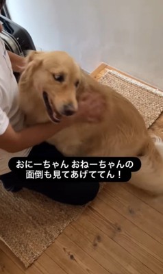 エマちゃんとパパさんの再会9