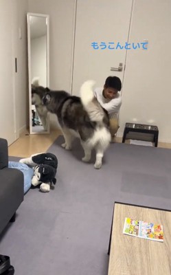 拒否する彼氏さん