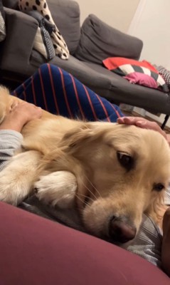 エマちゃんとパパさんの再会⑩