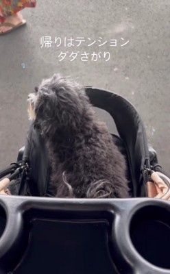 帰り道はションボリ…