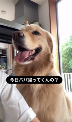 エマちゃんとパパさんの再会2