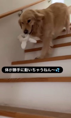 エマちゃんとパパさんの再会8